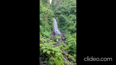 Trafalgar Falls, Dominica.