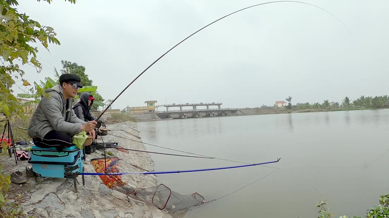 Pike Strikes in the Quiet Reeds