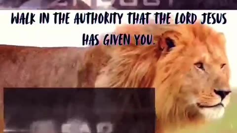 Walk in Authority Ephesians 2:10 KJV #faith #bibleverse #truth #trendingvideo
