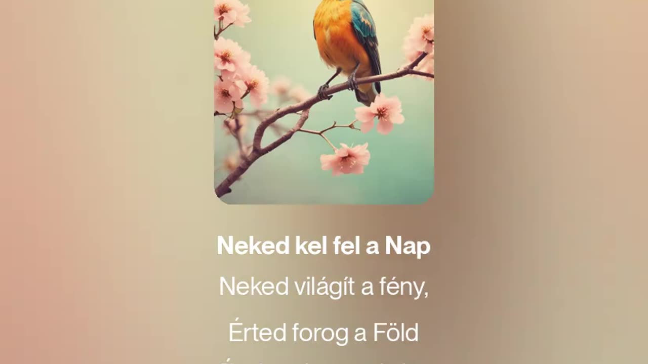 Songbird (megzenésített vers)