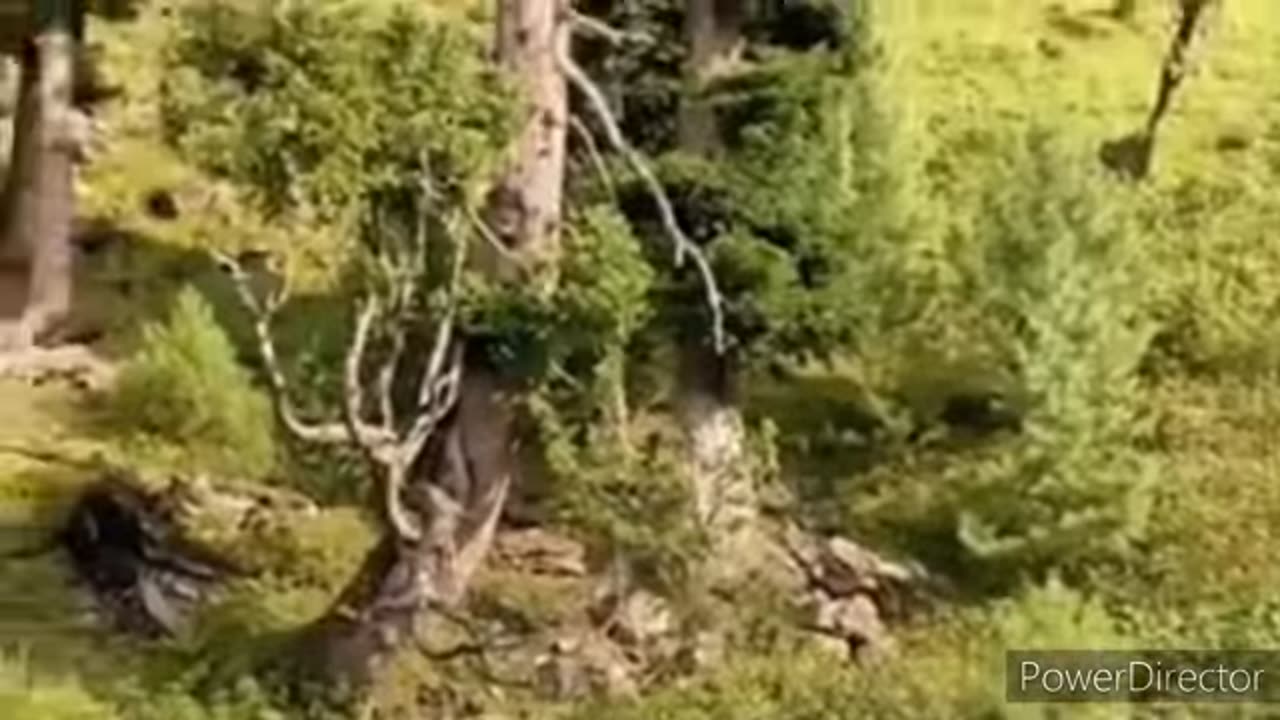 Kashmir; the gateway to the Himalayas