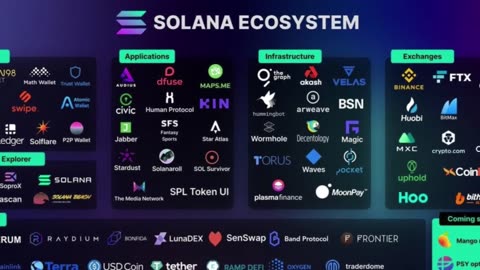 Navigating the Blockchain Galaxy: Ecosystems Unveiled