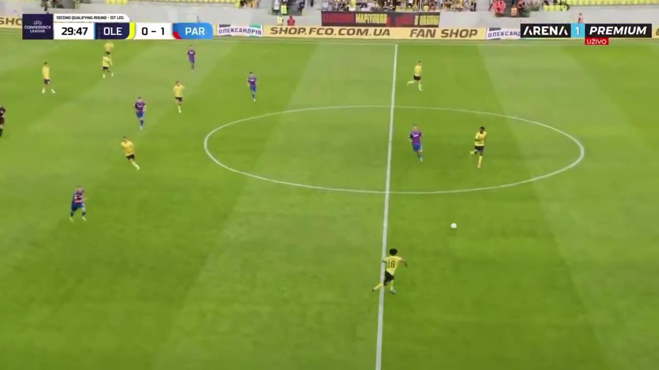 Ukrainian football fans chant "Kill the Serb" during Oleksandriya vs. Belgrade Partizan