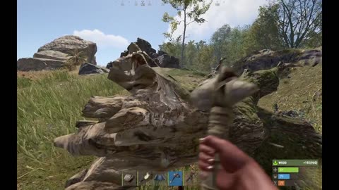 Rust WipeDay