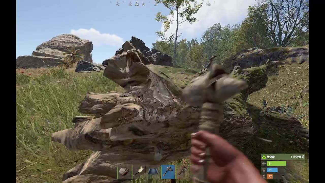 Rust WipeDay