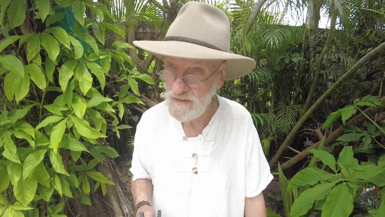 Excitation - A New World Rising