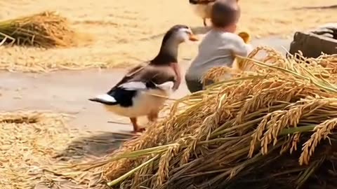 A beautifull baby playing his duck