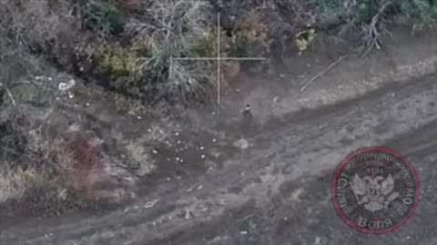 The settlement of Ivanopolye