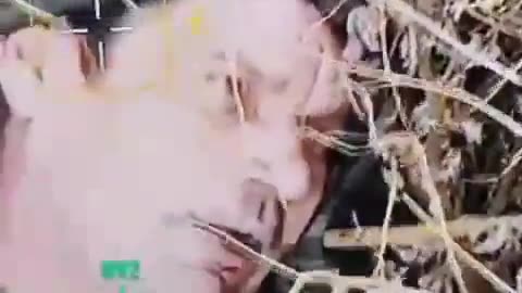🚀🕵️ Ukraine Russia War | Russian Soldier Plays Dead in Ukraine | RCF