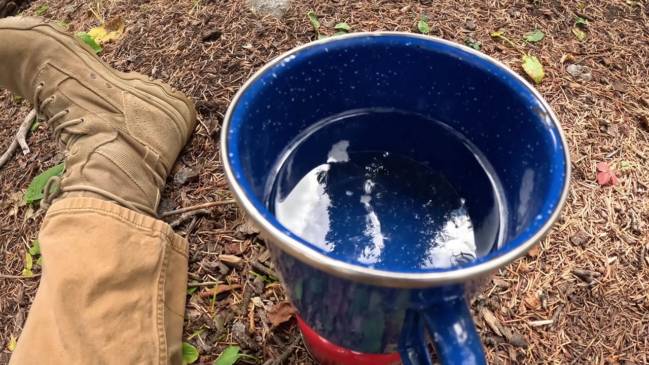 Basic Food Ration Planning