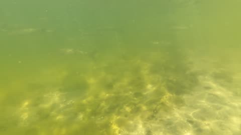 Kayak on The South Side, PT - Margem Sul, S02E08 LAGOA de ALBUFEIRA 29th of July 2K25 Part 6