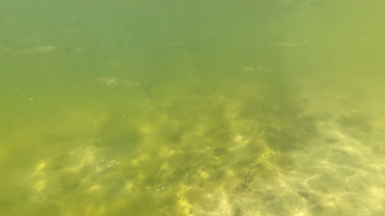 Kayak on The South Side, PT - Margem Sul, S02E08 LAGOA de ALBUFEIRA 29th of July 2K25 Part 6