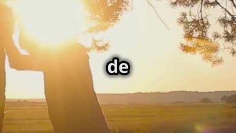 "La Conciencia de Cristo: El Despertar Radical de la Unidad y la Plenitud"