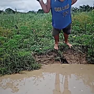 लोगों के गजब कारनामें 😂। wait for funny 🤣 #shortvideo #funny #growthfacts