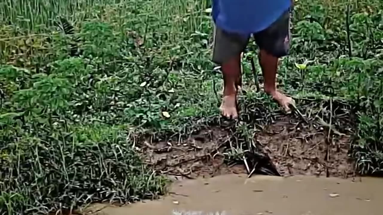 लोगों के गजब कारनामें 😂। wait for funny 🤣 #shortvideo #funny #growthfacts