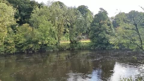 poczekaj ...