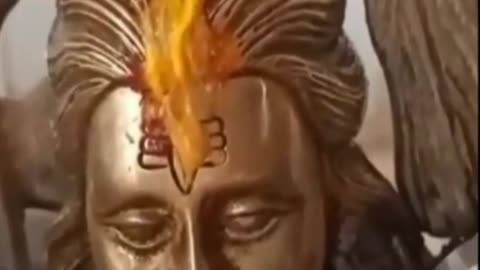 ভক্তি, বিশ্বাস ও অলৌকিকতা