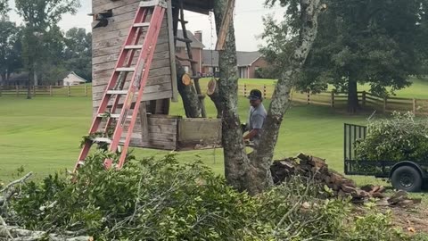 Slow Running From Falling Treehouse