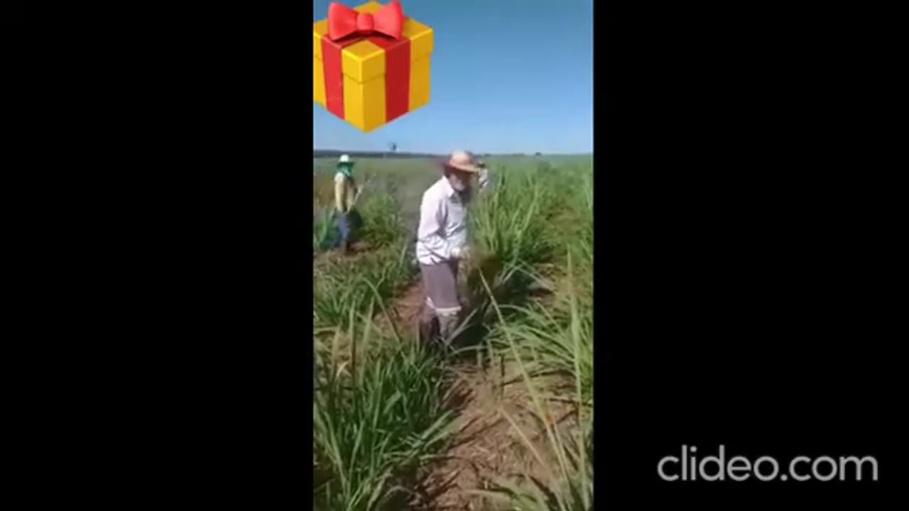 os melhores peidos 2.mp4