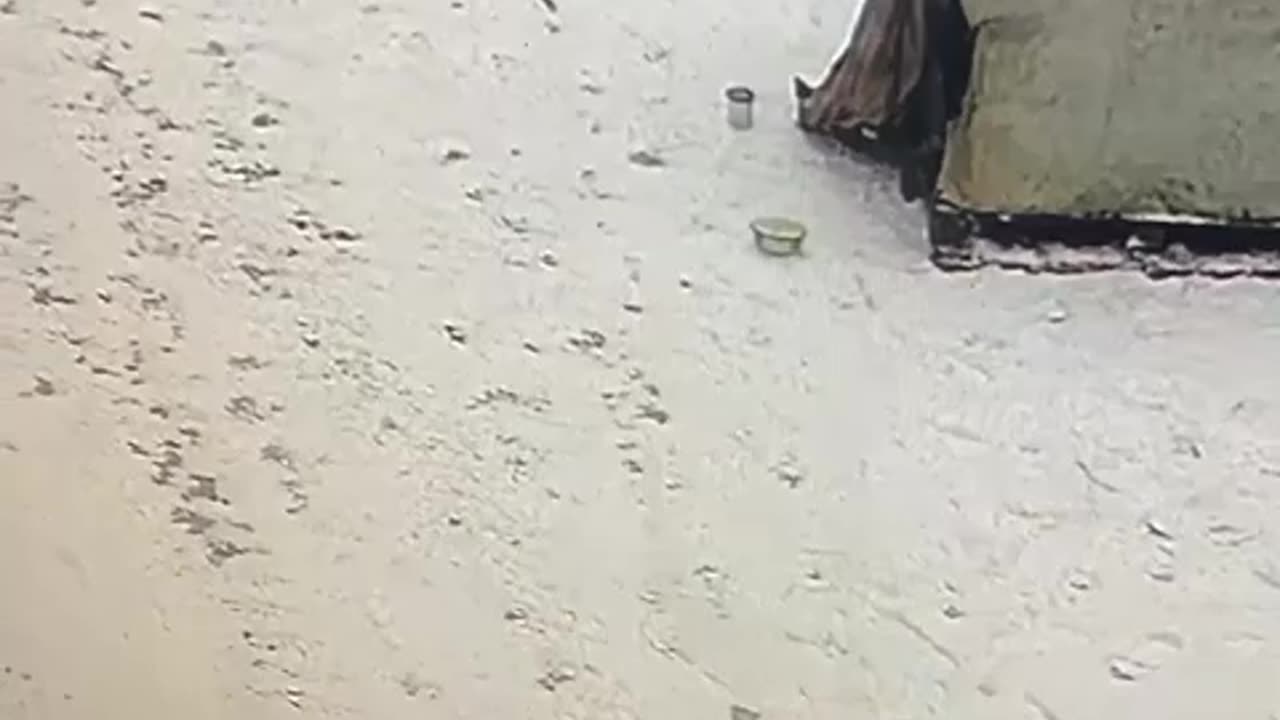 I Have No Words for What I Just Witnessed