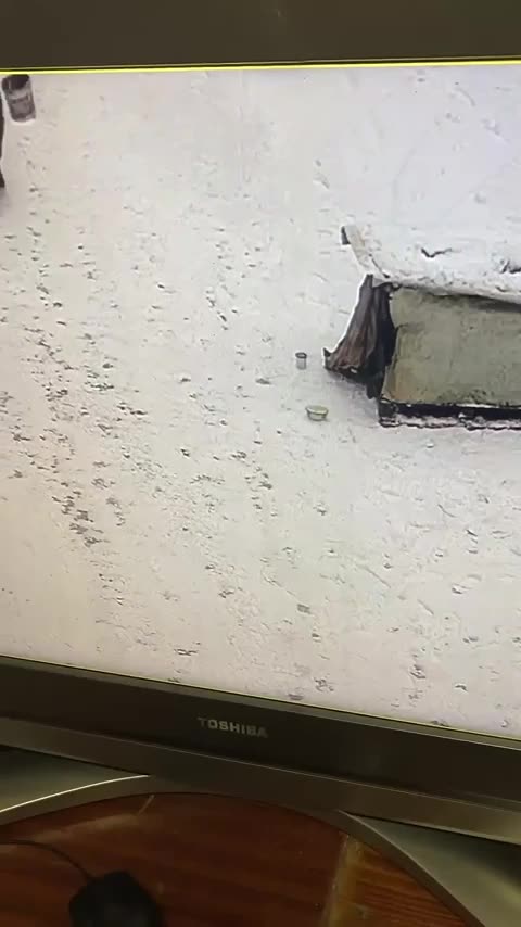 I Have No Words for What I Just Witnessed