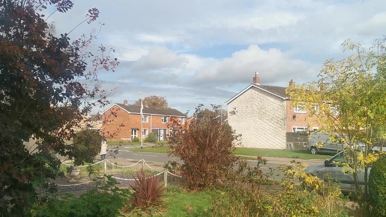 ONE BIG MONSTER SANDRINGHAM SERIAL CON IN DISS NORFOLK UK