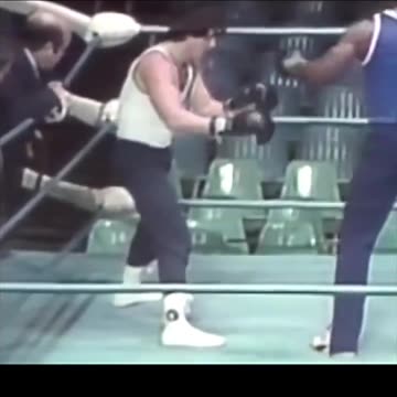 Sylvester Stallone wrote the screenplay for Rocky in three and a half days.