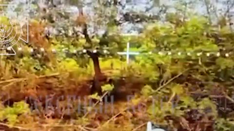🎥💀 Ukraine Russia War | Fiber-Optic Drone Kills Ukrainian Soldier Near Sumy | RCF