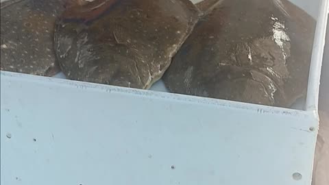 Fluke limit.