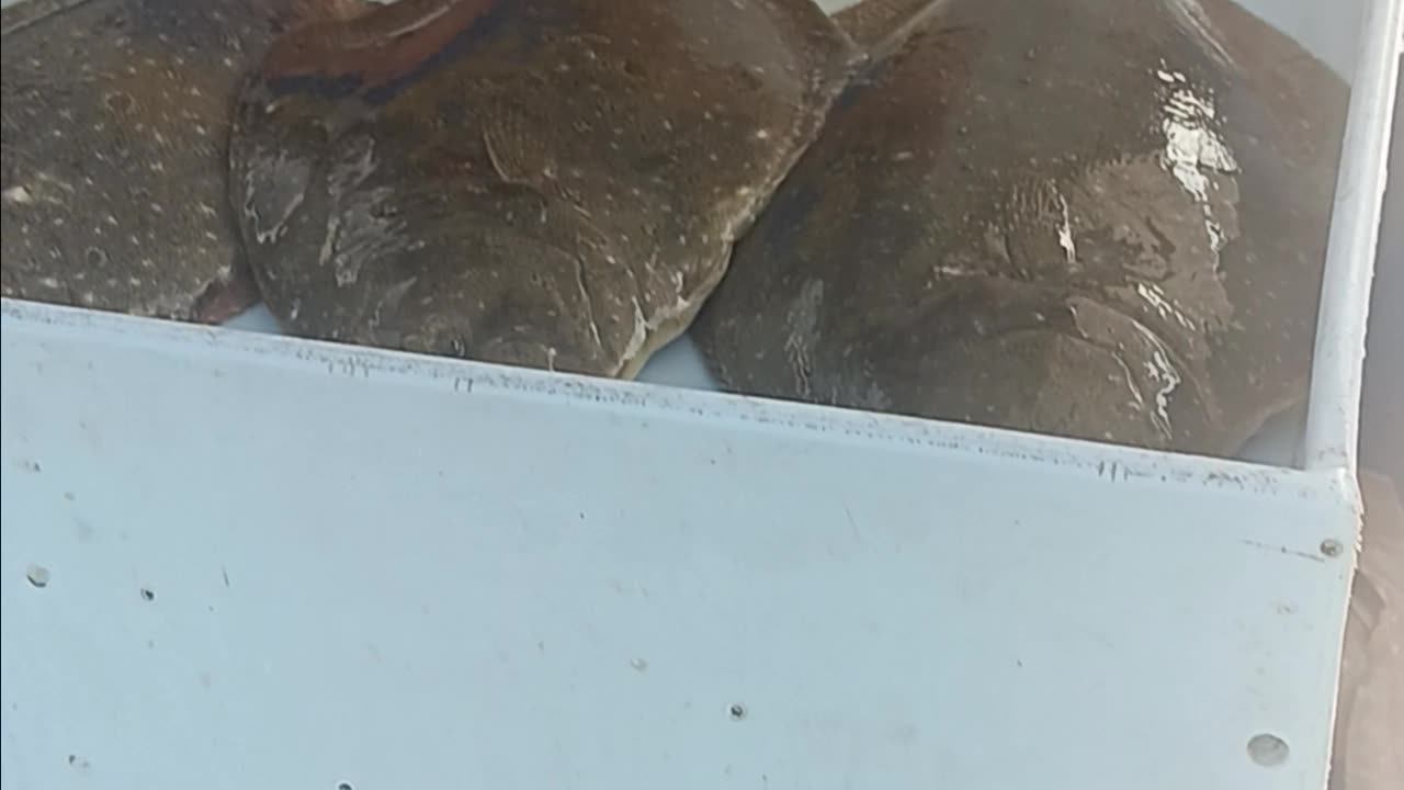 Fluke limit.