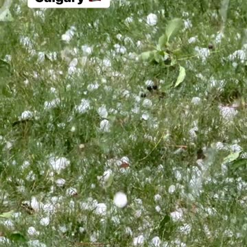 Hailstorm in Calgary