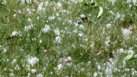 Hailstorm in Calgary
