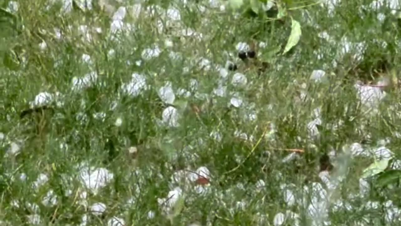 Hailstorm in Calgary
