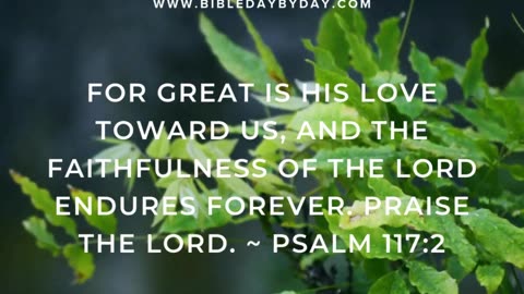 Too busy for the Bible?
