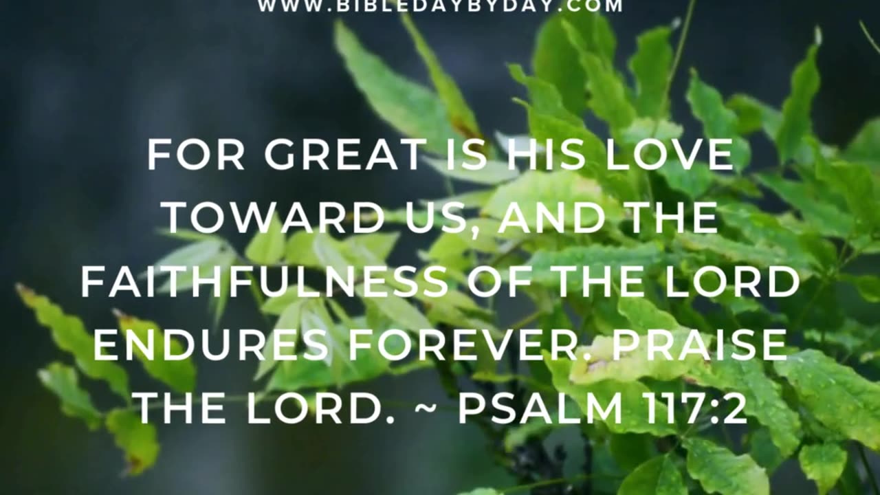 Too busy for the Bible?