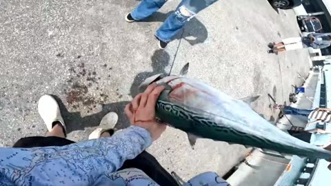 Insane Offshore Fishing Action – Big Fish Battle!