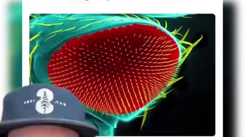 LED Lights Could Be Killing You