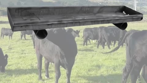 American-Made Feed Bunks