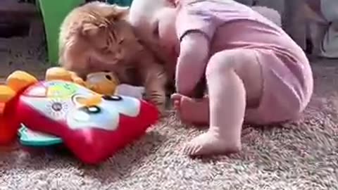 Cats are children's best friends. Heartwarming videos. 🐾🐈👶🏻❤️ #baby #cute #cat #animals #shorts