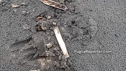 Barletta: sabbia nera vulcanica del Monte Vulture, fenomeno naturale anche a Margherita di Savoia