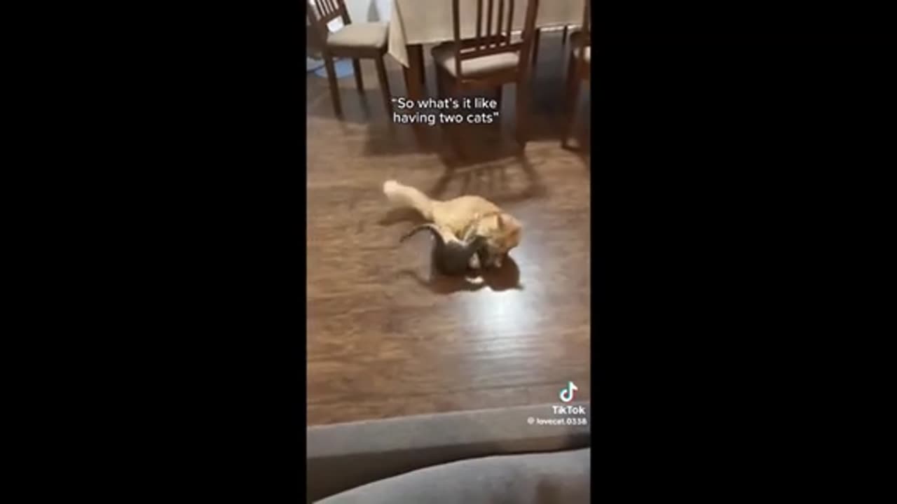 Need a laugh here and there :)