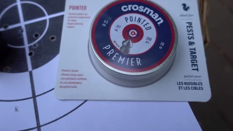 Evaluating Crossman Pointed Pellets