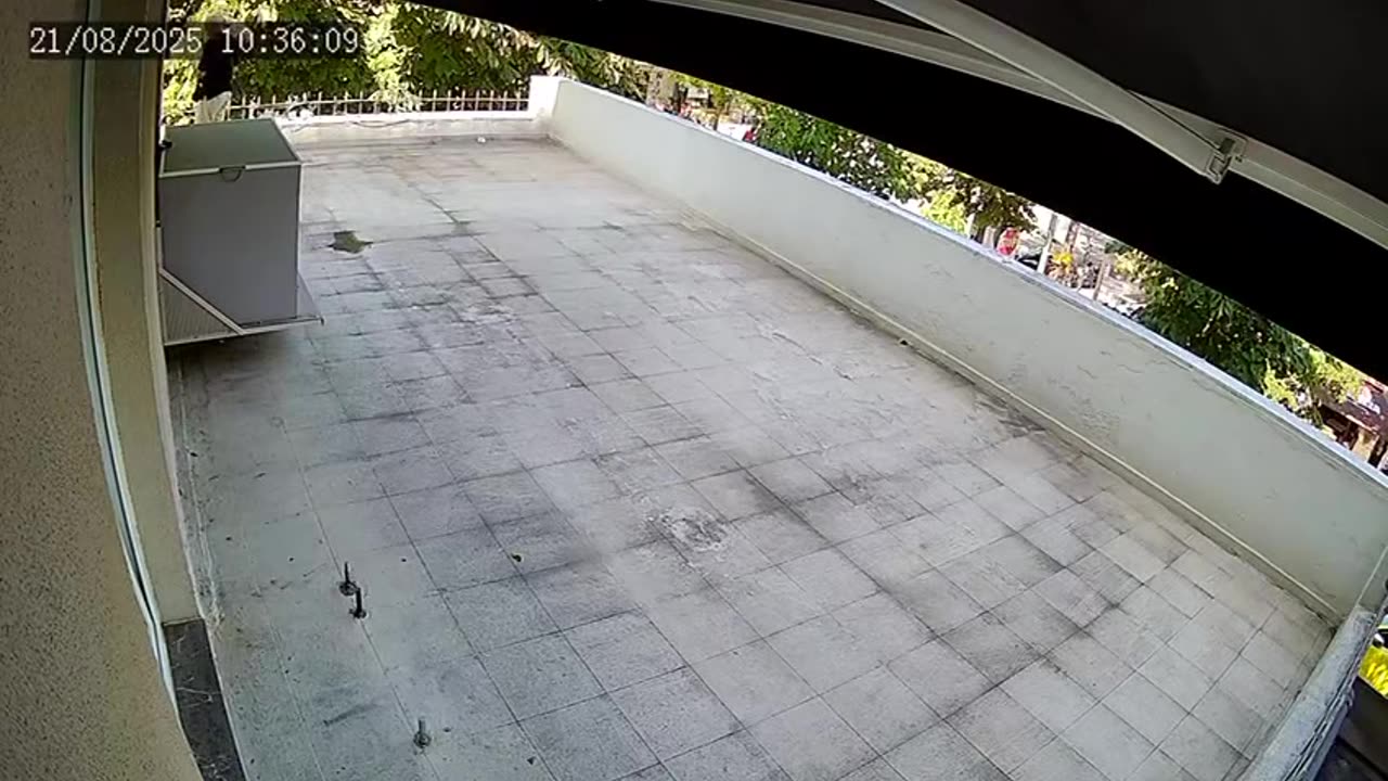 Brace denoncon përndjekjen e një mjekeje në Tiranëe: Autori u ngjit majë tarracës dhe...