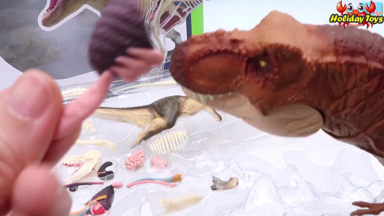 Assembling Dinosaur Bones that are Still in Plastic Wrapping