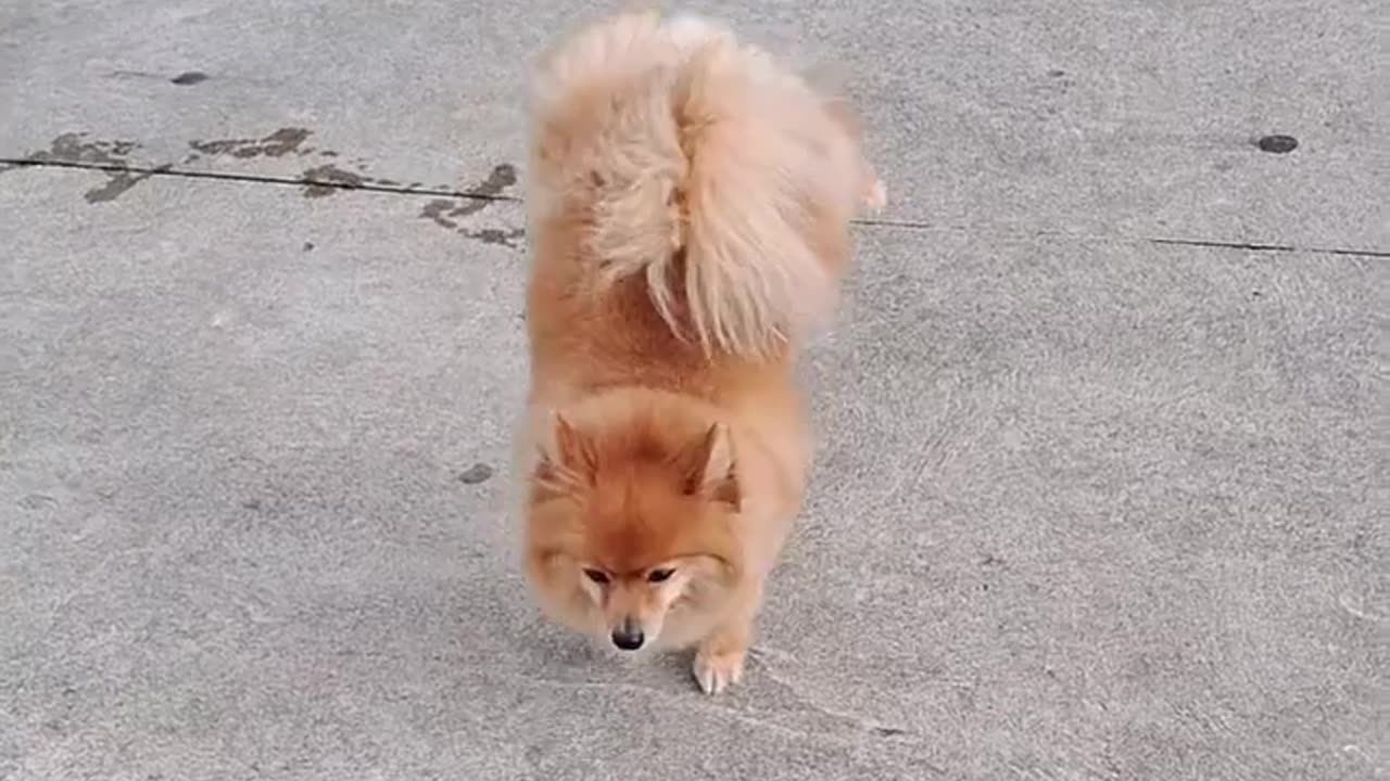 😂🤫 This Fella Has a Secret Message! | FunFM