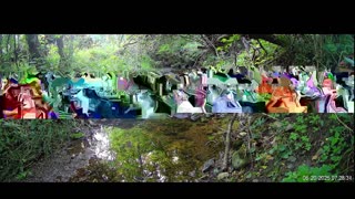 Live Stream
