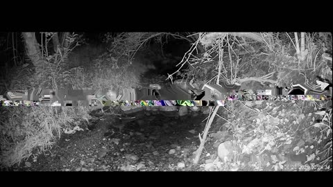 Live Stream