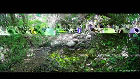 Live Stream