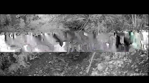 Live Stream