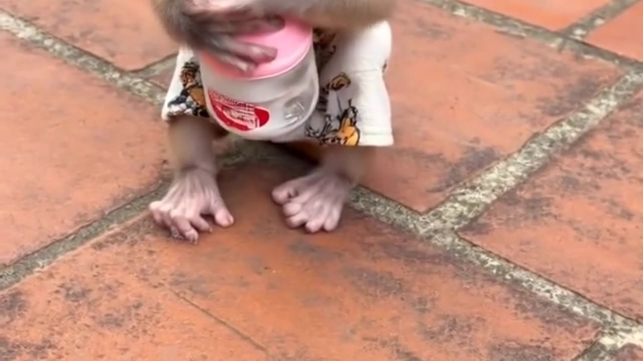 This Baby Monkey's Smile is EVERYTHING! 😍 #Shorts